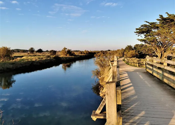 Le Rivage Bleu - Face