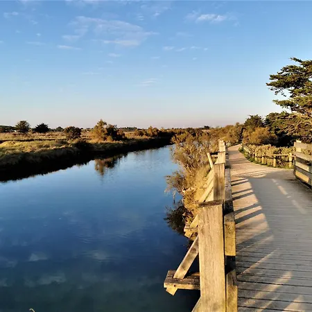 Le Rivage Bleu - Face